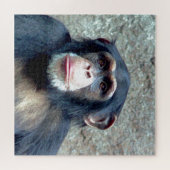 チンパンジー野生動物アート写真 ジグソーパズル (横)