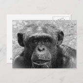 チンパンジー顔素晴らし、キャラクター、白黒 ポストカード (正面/裏面)