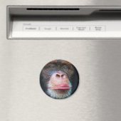 チンパンジー顔霊長類ワイルドライフアートマグネット マグネット (インサイチュ (食洗機))