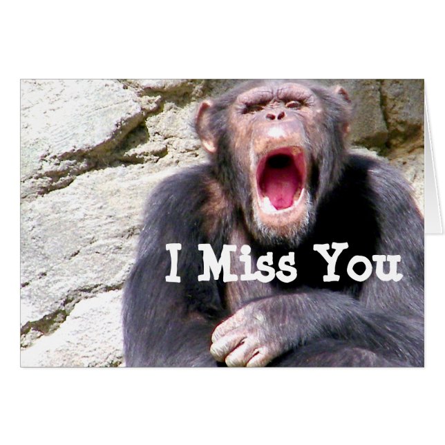 チンパンジー_ (正面横)