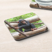 チンパンジー001 コースター (左側)