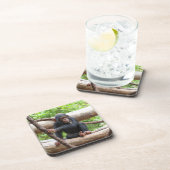 チンパンジー001 コースター (右側)