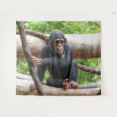 チンパンジー001 タペストリー (正面(横))