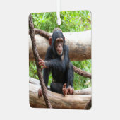 チンパンジー001 メタルオーナメント (正面左)