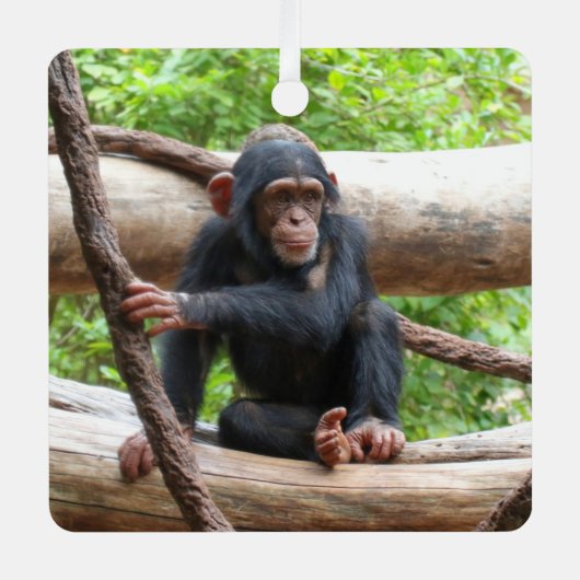 チンパンジー001 メタルオーナメント (正面)