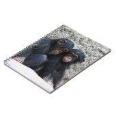 チンパンジー002 ノートブック (左側)