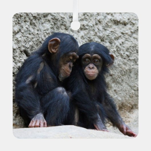 チンパンジー002 メタルオーナメント (正面)