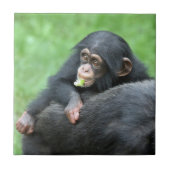 チンパンジー005 タイル (正面)