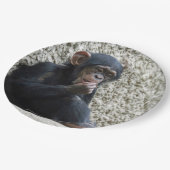 チンパンジー013 ペーパープレート (アングル)