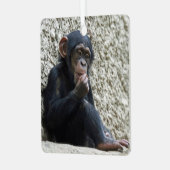 チンパンジー013 メタルオーナメント (正面左)