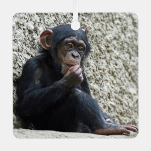チンパンジー013 メタルオーナメント (正面)