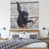 チンパンジー017 キャンバスプリント (インサイチュ (寝室))
