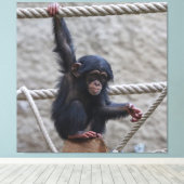 チンパンジー017 キャンバスプリント (インサイチュ (ウッドフロア))