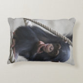 チンパンジー030 アクセントクッション (裏面)