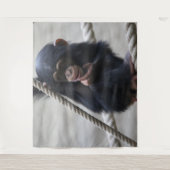 チンパンジー030 タペストリー (正面)