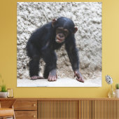 チンパンジー031 キャンバスプリント (インサイチュ (リビング))