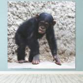 チンパンジー031 キャンバスプリント (インサイチュ (ウッドフロア))