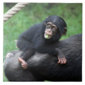 チンパンジー032 タイル (正面)