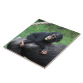 チンパンジー032 タイル (側面)