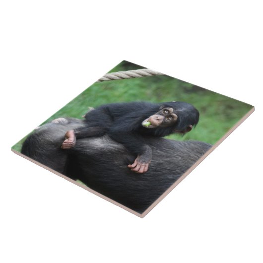 チンパンジー032 タイル (側面)