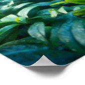 チンパンジー2 ポスター (角)