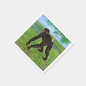 チンパンジー スタンダードカクテルナプキン (角)