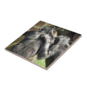 チンパンジー タイル (側面)