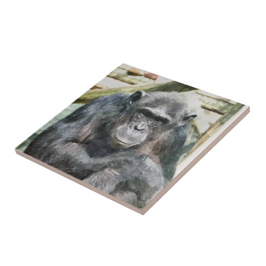 チンパンジー タイル (側面)