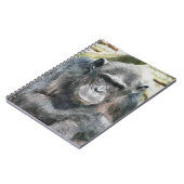 チンパンジー ノートブック (左側)