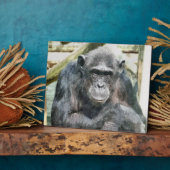 チンパンジー フォトプラーク (側面)