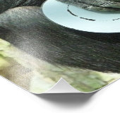 チンパンジー フォトプリント            (角)