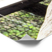 チンパンジー ポスター (角)