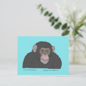 チンパンジー ポストカード (スタンド正面)