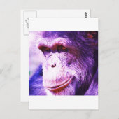 チンパンジー ポストカード (正面/裏面)