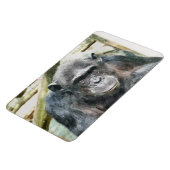 チンパンジー マグネット (左側)