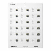 チンパンジー ラベル (フルシート)