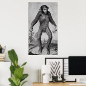 チンパンジー, 1699 ポスター (ホームオフィス)