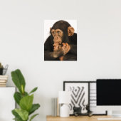 チンパンジー(Pan troglodytes).若いプレイフル2 ポスター (ホームオフィス)