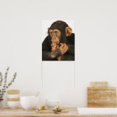 チンパンジー(Pan troglodytes).若いプレイフル2 ポスター (キッチン)