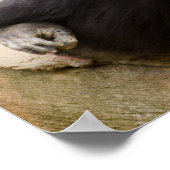 チンプは肌寒い ポスター (角)