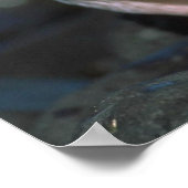 チンラップペンギン ポスター (角)