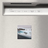 チンラップペンギン マグネット (インサイチュ (食洗機))