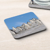 チンラップペンギン | 南極ピゴセリス コースター (左側)