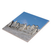 チンラップペンギン | 南極ピゴセリス タイル (側面)