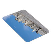 チンラップペンギン | 南極ピゴセリス マグネット (右側)