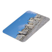 チンラップペンギン | 南極ピゴセリス マグネット (左側)