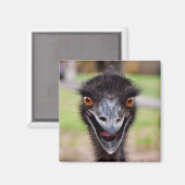 チーキーエム冷蔵庫用マグネット マグネット (正面/裏面)