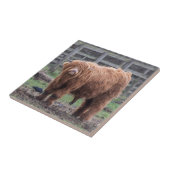 チーキーハイランドベビーウジグソーパズルフォトプリント タイル (側面)