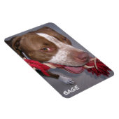 チーキーピットブル マグネット (右側)