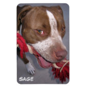 チーキーピットブル マグネット (縦)